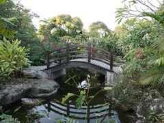 景点-大旗头古村