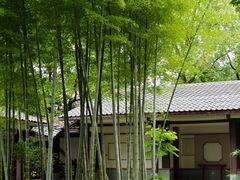 -南山植物园