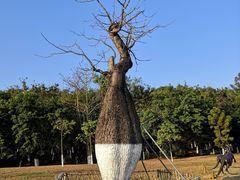 -东莞植物园