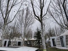 -九十九顶毡房(阜石路店)