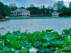 -荔湾湖公园