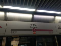 -大龙山(地铁站)