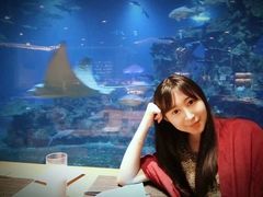 -海棠湾洲际-涛·海底餐厅·美人鱼·自助餐·海底隧道