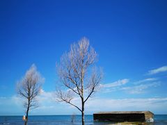 -青海湖国家重点风景名胜区