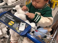 -宜家·瑞典风味餐厅(无锡店)