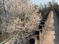 -金堂县云顶石城风景区