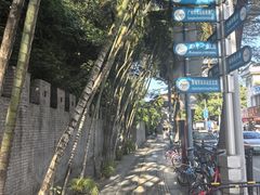 -长洲岛
