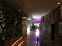 -上海外滩英迪格酒店