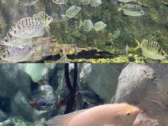 -正佳极地海洋世界