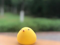 -永定河休闲森林公园