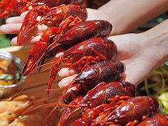 -聚汇三少·龙虾·中餐厅(莫邪路新天地店)