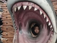 -大连圣亚海洋世界