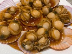 蚝油扇贝-九龙餐厅(大沽路店)