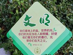 -上海佘山国家森林公园西佘山园