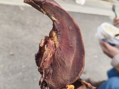 -北川巴拿恰