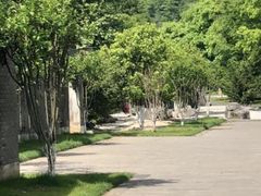 -幕燕滨江·长江观音景区