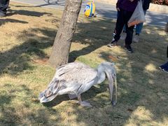 -南京金牛湖风景区