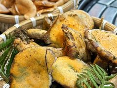 -阿山卓·野生菌火锅·纳西火塘烤肉