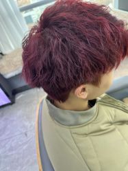 -藤野造型烫发染发