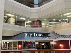 -RED LOBSTER(多伦多DT店)