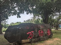 -万绿园