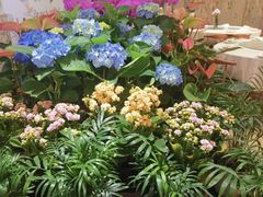-春暖花开(西溪店)