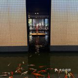 东阳!找到了一处藏匿在市井的宝藏庭院