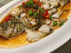 花椒蒸桂花鱼-悦来轩顺德菜(寮厦店)