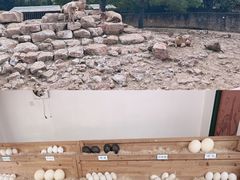 -杭州野生动物世界