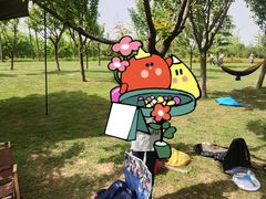 -洨河生态公园