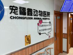 -宠福鑫动物医院(城北分院)
