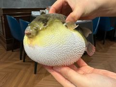 -肆月河豚·新淮扬(金融街店)