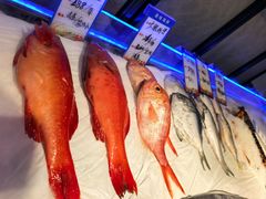 -闽海肴(北辰荟店)