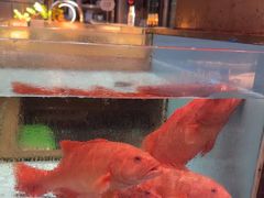 -阿伟海鲜楼·福建菜(延寿店)