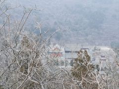 -北京西山国家森林公园