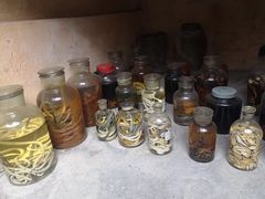-海南槟榔谷黎苗文化旅游区