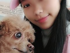 -创凡宠物医院·骨专科  猫科中心(西乡分院)