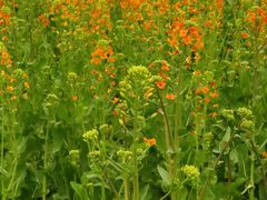 -中国天府农业博览园