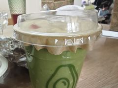 -油梨树AVOCADO TREE(顺义新国展店)