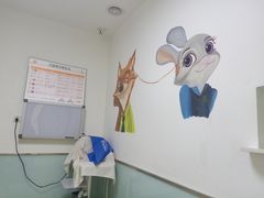 -特一安24小时宠物医院·骨科·中兽医