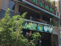 -易门野生菌府·菌海森林(月牙潭公园店)