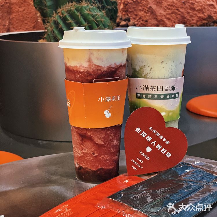 橙色沙漠🏜️仙人掌造景奶茶店｜小满茶田🍒