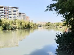 -映月湖中央公园