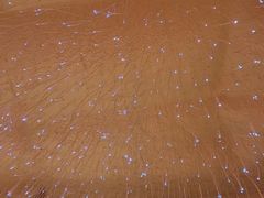 -宜悠·汗蒸·SPA蓓霓芬(罗湖怡景总店)