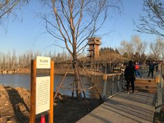 -东郊湿地公园