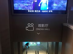 放映厅-星河寰宇IMAX影城(星河WORLD·COCO Park店)