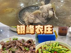 -银峰农庄·特色烧鸡·鲜无花果浸鸡