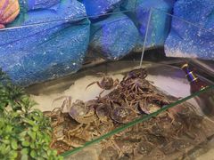 -比尔森韩式烤肉自助(国商店)
