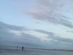 -碧海金沙