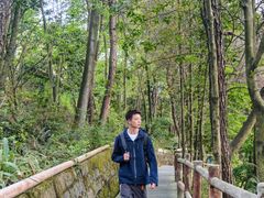 -铁山坪森林公园